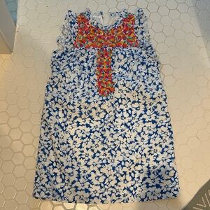 THML Blue and Red Floral Mini Dress